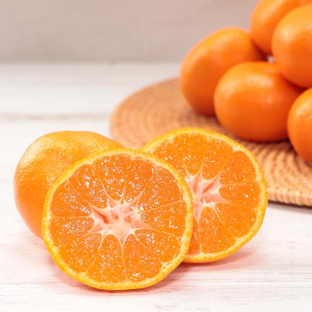 [マルカオレンジセンター]寿太郎みかん 5kg