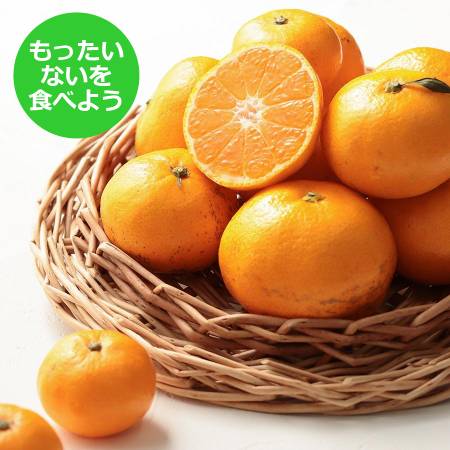 [もったいない!を食べよう][木負観光みかん園]寿太郎10kg
