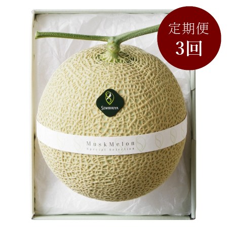 [日本橋 千疋屋総本店]マスクメロン1.3kg[定期便3カ月]