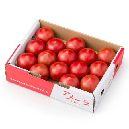 [アメーラ]高糖度トマト「アメーラトマト」900g