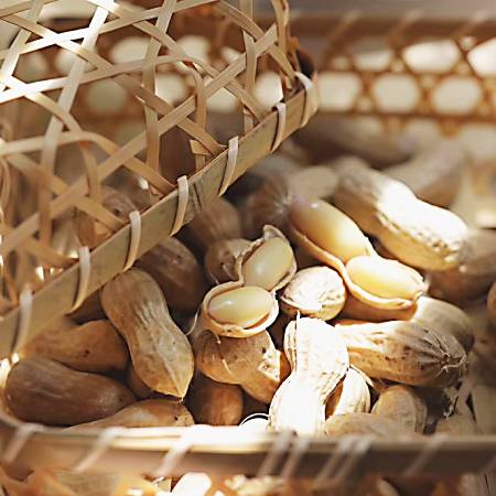 [杉中園芸]"塩茹で専用"生落花生「郷の香」300gx4(計1.2kg)