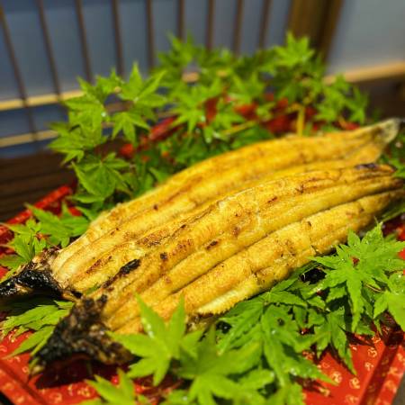 [うなぎ割烹 みかわ三水亭]三河産鰻 炭火手焼き「白焼き」2尾