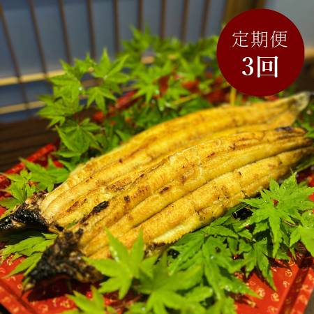 [うなぎ割烹 みかわ三水亭]三河産鰻 炭火手焼き「白焼き」2尾[3ヵ月定期便]