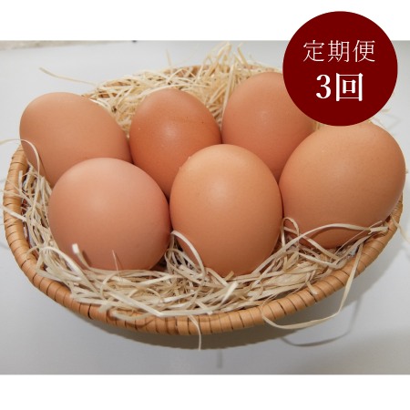 [山田養鶏]「赤玉元気卵」30個[3ヵ月定期便]