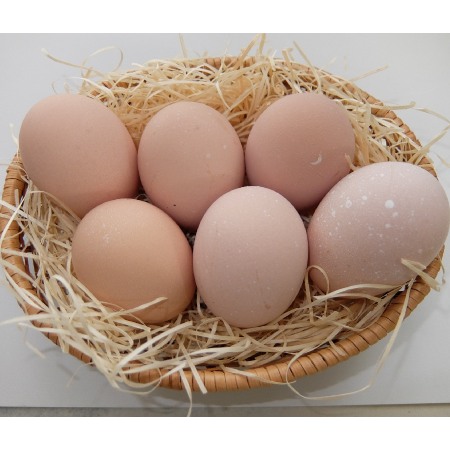 [山田養鶏]「名古屋コーチン卵」30個
