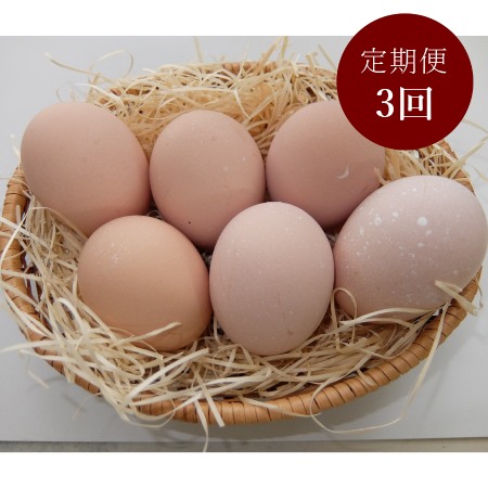 [山田養鶏]「名古屋コーチン卵」30個[3ヵ月定期便]