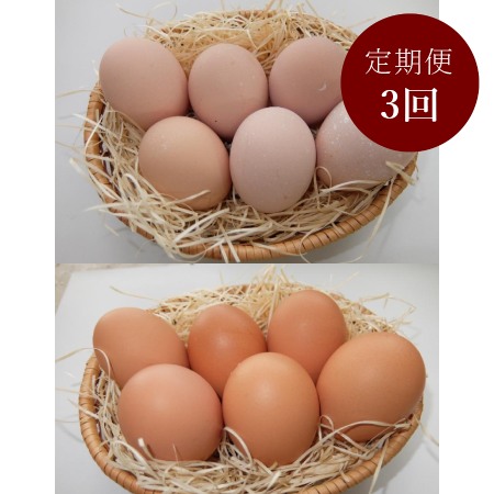 [山田養鶏]「名古屋コーチン卵」&「赤玉元気卵」各15個(計30個)[3ヵ月定期便]