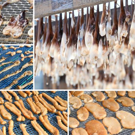 [岬水産]天然貝の干物5種セット(串とり貝・平貝・平貝ヒモ・とり貝・みる貝)