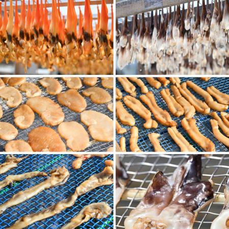 [岬水産]天然「貝の干物」6種セット(串青柳・串とり貝・平貝・平貝ヒモ・とり貝・みる貝)