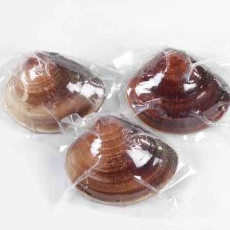 [桑名はまぐり屋]桑名産「はまぐり」10年もの(レトルト)3粒入