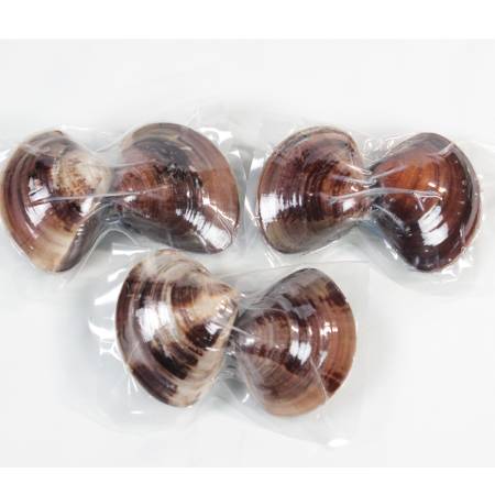 [桑名はまぐり屋]桑名産「はまぐり」5年もの(レトルト)6粒