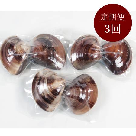 [桑名はまぐり屋]桑名産「はまぐり」5年もの(レトルト)6粒 [3ヵ月定期便]