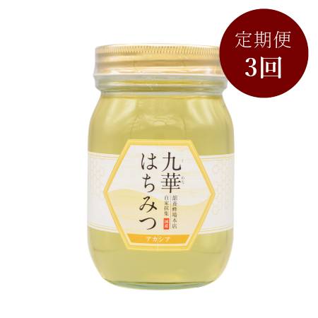 [舘養蜂場本店]「九華はちみつ」(アカシア)500g[3ヵ月定期便]