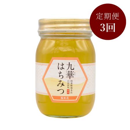 [舘養蜂場本店]「九華はちみつ」(福来花(フクラシハナ))500g[3ヵ月定期便]