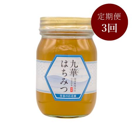 [舘養蜂場本店]「九華はちみつ」(芳春の百花蜜)500g[3ヵ月定期便]