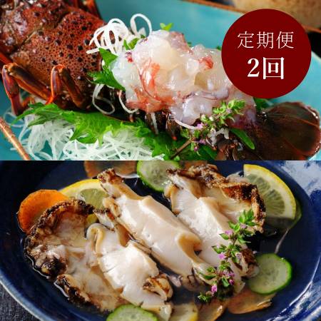 伊勢志摩産 伊勢海老&鮑「刺身」[2ヶ月定期便]姿造り伊勢えび2尾(500g)、白鮑 2個(合計400g) (10月開始)