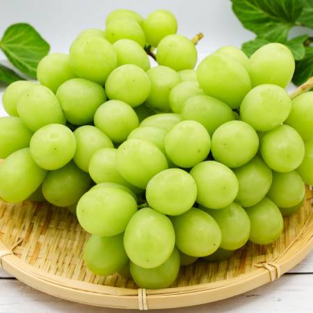 [みらいパーク竜王]「シャインマスカット」Mサイズ2房