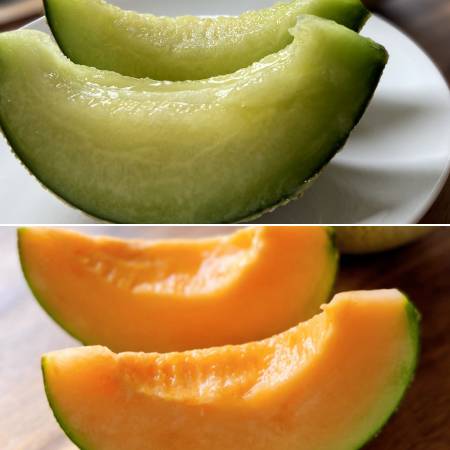 [みらいパーク竜王]メロン(青肉・赤肉)各1玉(計2玉)