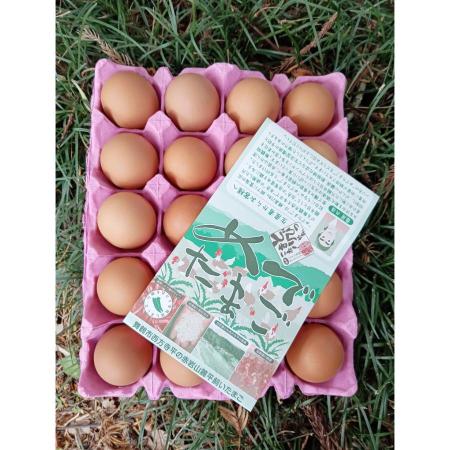 [霜尾共造農園]京都 赤岩山麓「平飼い卵」20個