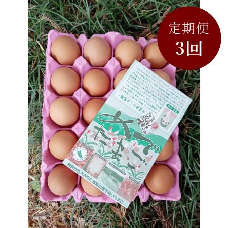 [霜尾共造農園]京都 赤岩山麓「平飼い卵」20個[3ヵ月定期便]