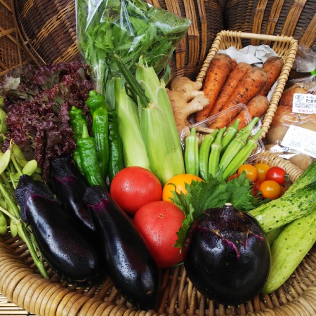 季節の「京野菜」8〜10種類セット 栽培期間中農薬・化学肥料不使用