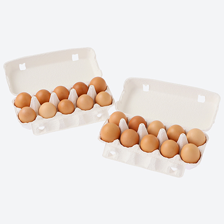 [たかはし農園]放し飼い黒鶏ネラの卵 10個×2パックMS〜Lサイズ