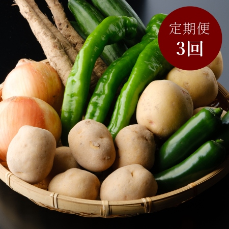 (京都丹後産)野菜詰め合わせセット 3か月定期便(7月・9月・11月)2〜3人用(7月開始)