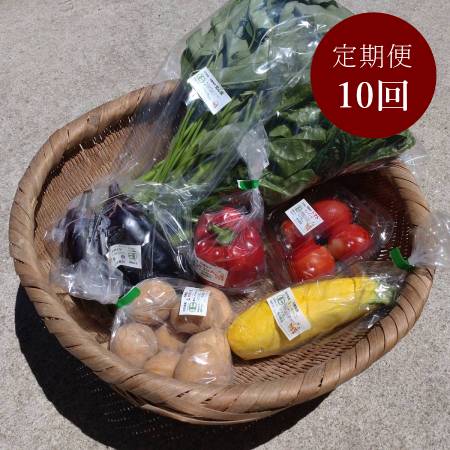 [てんとうむしばたけ]10回定期便 京丹後産 有機野菜セット 2人用(5月開始)