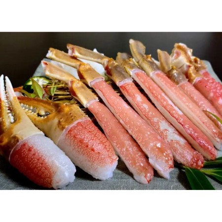 [北畿水産]「ズワイガニ」かにポーションセット超特大5Lサイズ
