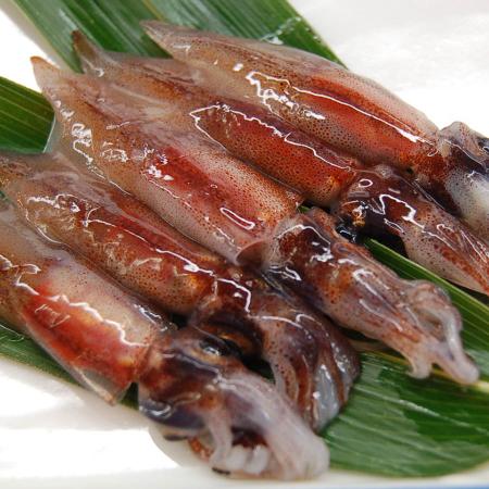 旬凍結ホタルイカ3種セット