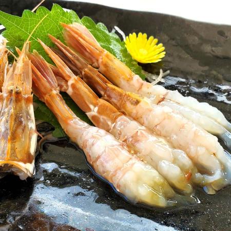 [山米鮮魚]お刺身用ガラエビ(船内冷凍)500g以上