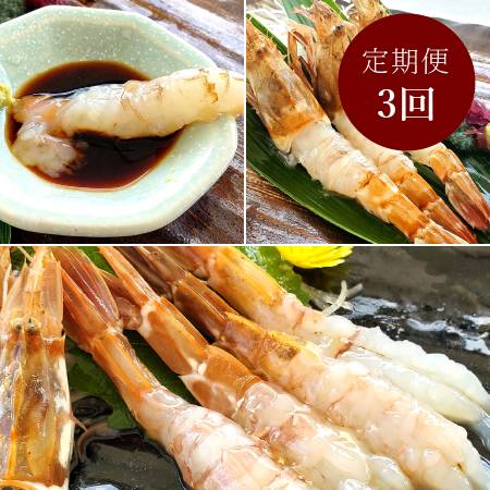 [山米鮮魚]山陰産「海老のお刺身」[3ヵ月定期便]
