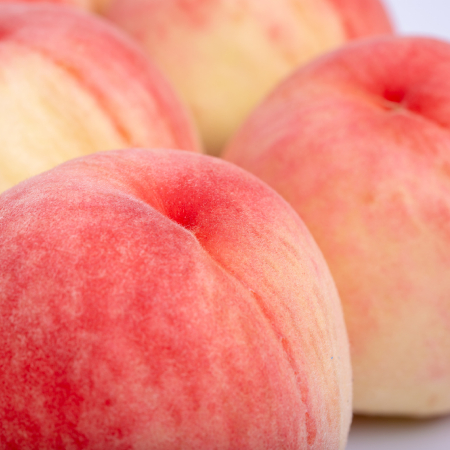 あら川の桃「白鳳」1.8kg(6〜8玉)