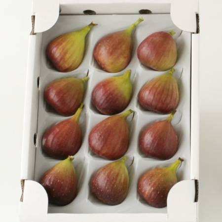[紀のファーム]秀品いちじく「桝井ドーフィン」1kg(12個)