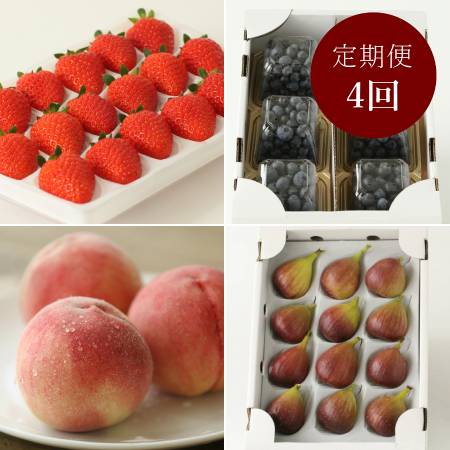 [紀のファーム]旬の果物[4回定期便]