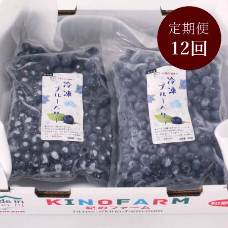 [紀のファーム]冷凍「ブルーベリー」500gx2(計1kg)[12ヵ月定期便]