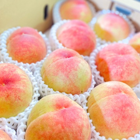 [吉田農園]あら川の桃 白鳳 特秀2kg