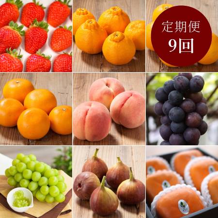 [[観音山フルーツガーデン]]「特選・A級品」果物(苺入り)[9回定期便]