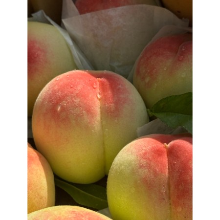 [吉田農園]あら川の桃 白鳳 特秀1kg