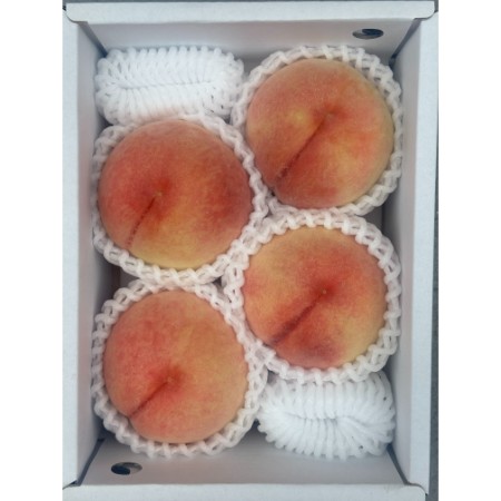 [吉田農園]あら川の桃 川中島白桃 特秀1kg