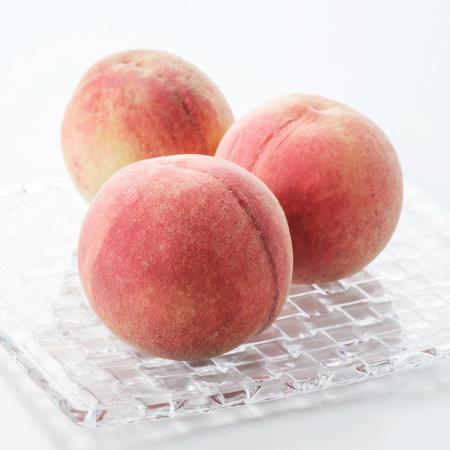 [橋村農園]「川中島白桃 晩生」1.8kg(6〜8個入)