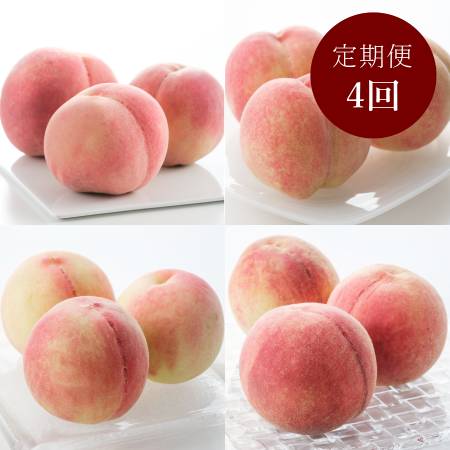 [橋村農園]「旬の桃」4種(日川白鳳・白鳳・なつっこ・川中島白桃)各回1.8kg(6〜8個入)[4回定期便]