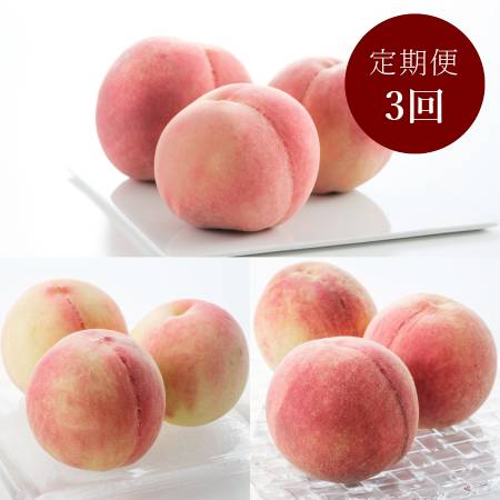 [橋村農園]「旬の桃」大玉3種(白鳳・なつっこ・川中島白桃)各回2.8kg(6〜8個入)[3回定期便]