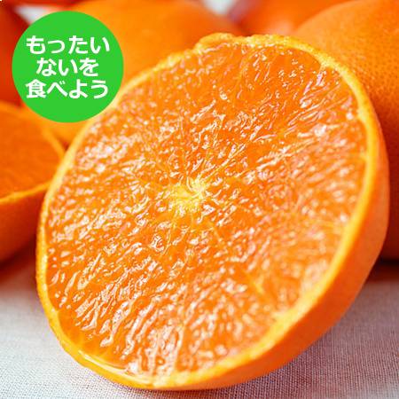 [魚鶴][もったいない!を食べよう]「せとか」3kg