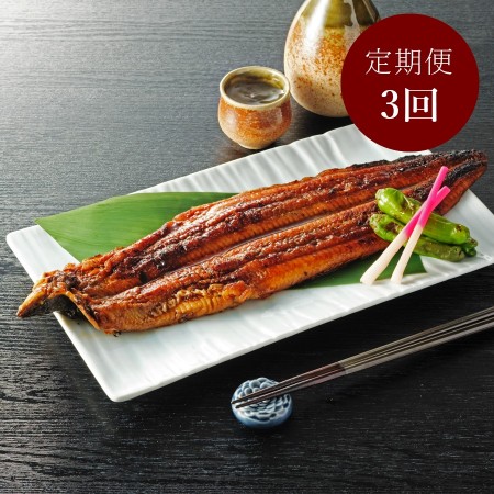 [福井鮮魚]紀州備長炭焼き鰻「蒲焼き」2尾[3ヵ月定期便]