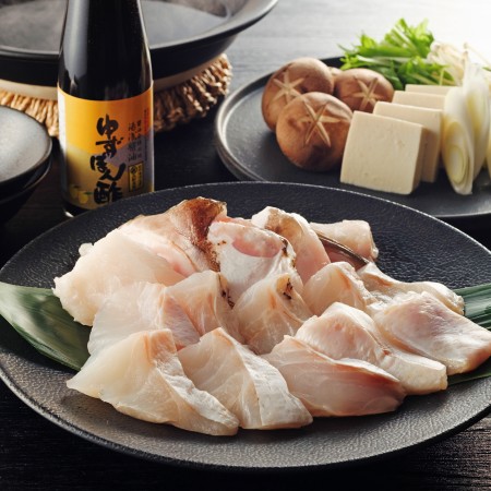[福井鮮魚]養殖くえ「鍋」2〜3人前