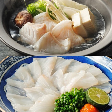 [福井鮮魚]養殖くえ「鍋&刺身」2〜3人前