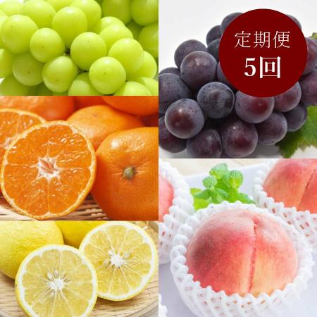 和歌山旬のフルーツ定期便 全5回 (2026年3月〜11月)