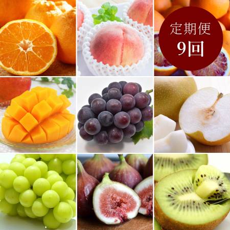 和歌山県産"秀品"「旬の果物」(マンゴー入)[9回定期便]