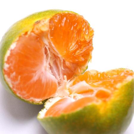[池田鹿蔵農園]"プレミアム"「有田みかん」(早採り)赤秀2.5kg